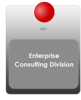 Public and SO Enterprises Division